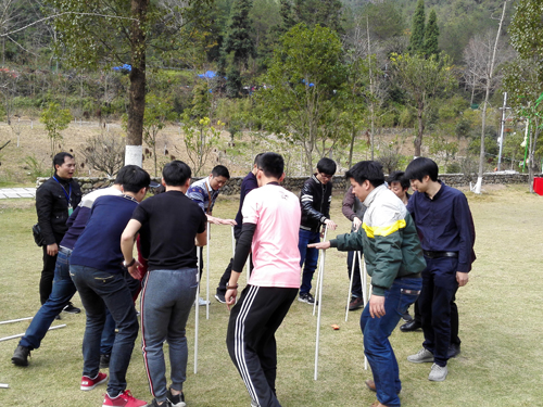 490491.cm查询码资料大全