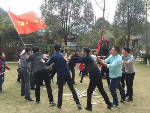 490491.cm查询码资料大全