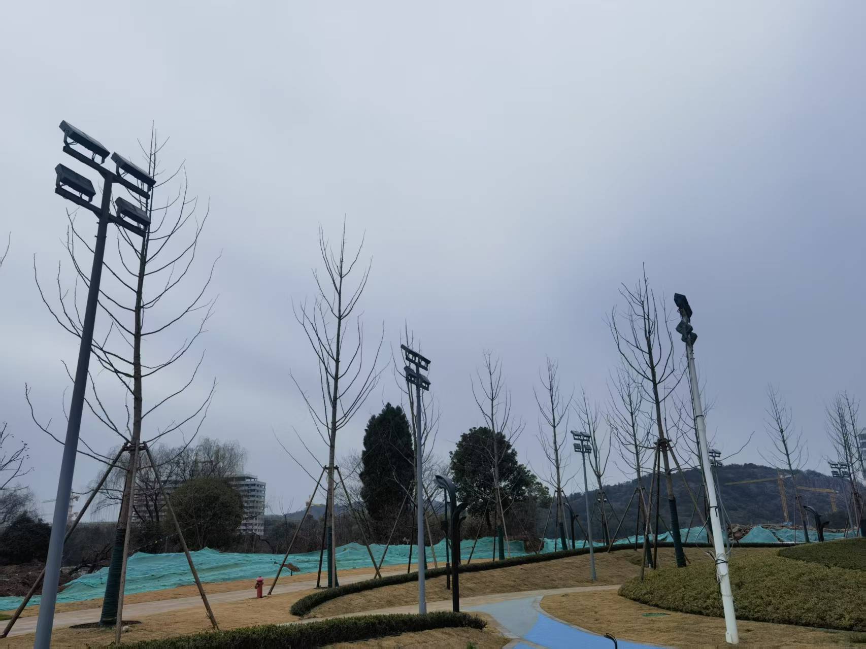 490491.cm查询码资料大全